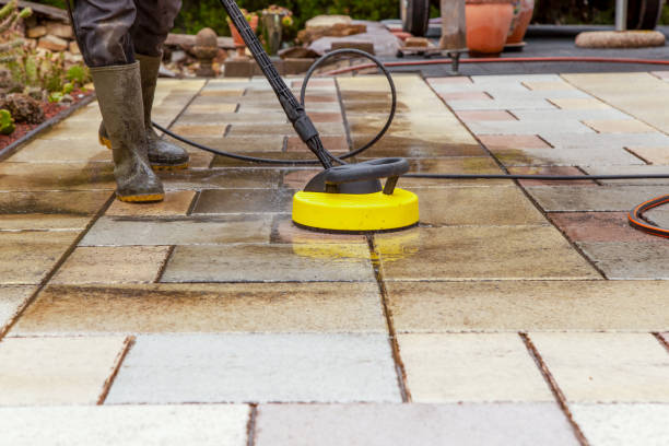 Animal Enclosure Cleaning in Cody, WY